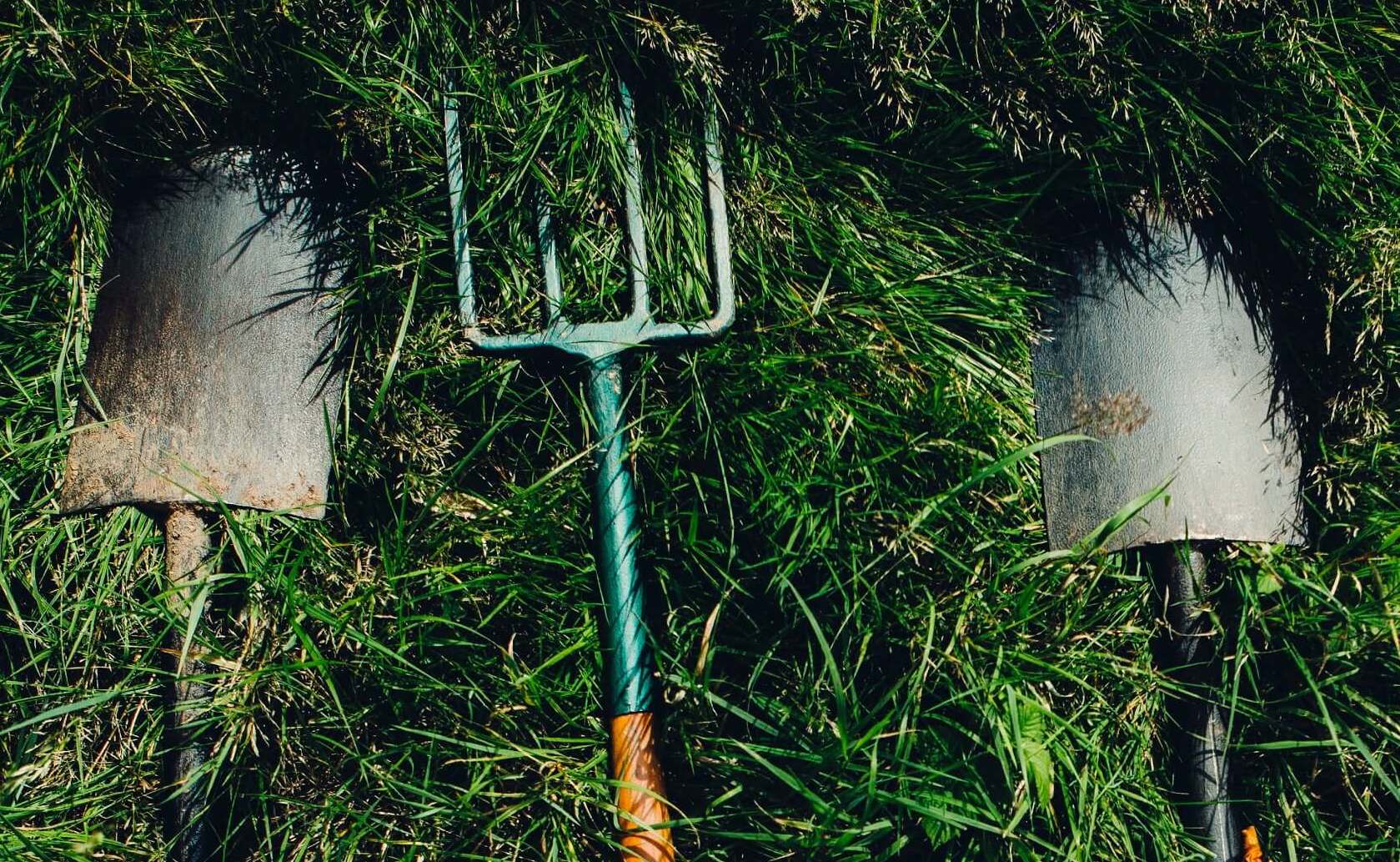 What is a "pickandshovel" play? MyWallSt